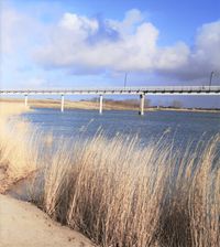 Wangermeer